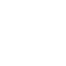 Monolith